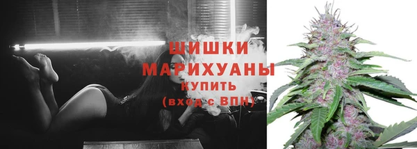 индика Вязники