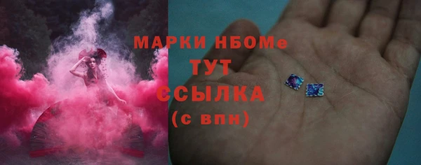 индика Вязники