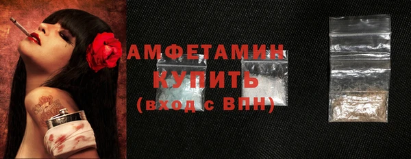 индика Вязники