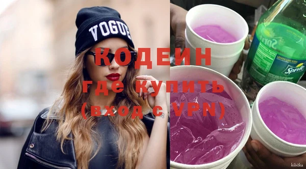 индика Вязники